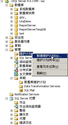 创建SQL 2005计划任务应用图解教程